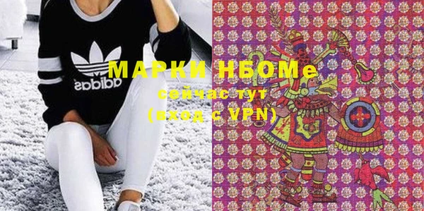 стаф Майский