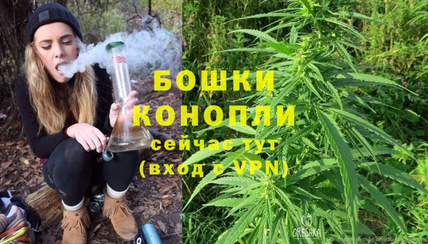 стаф Майский
